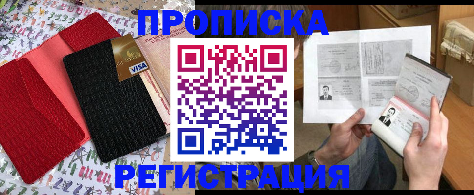 прописка поиск в Вязьме